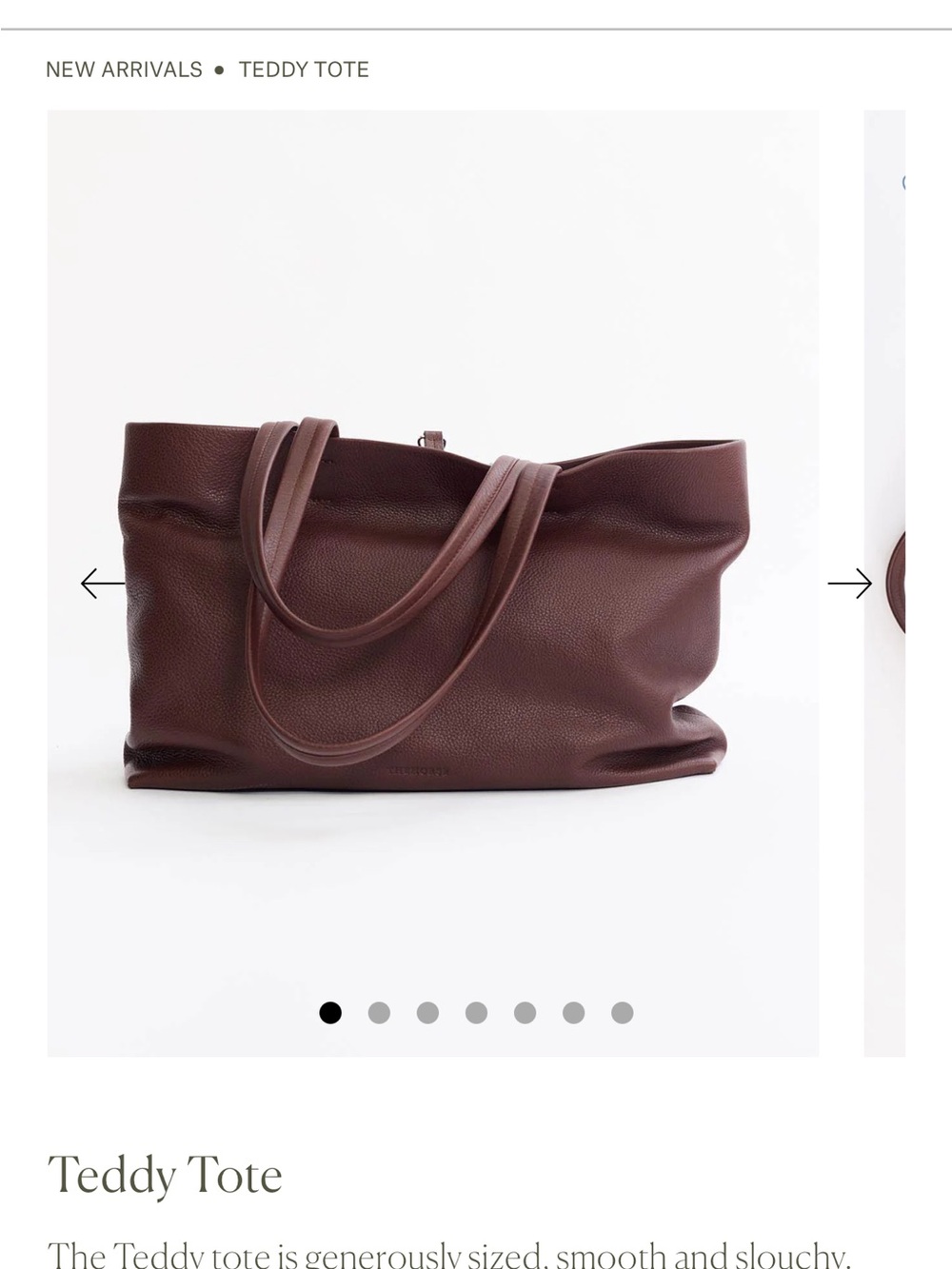 The Horse Teddy Tote Leather Shoulder Bag in Deep Brown